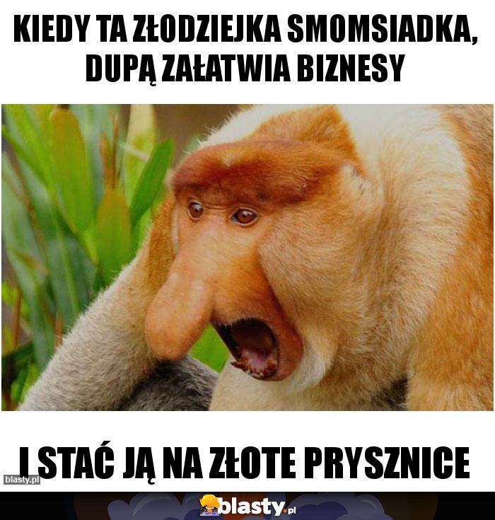 Kiedy ta złodziejka smomsiadka, dupą załatwia biznesy Kiedy ta złodziejka smomsiadka, dupą załatwia biznesy
