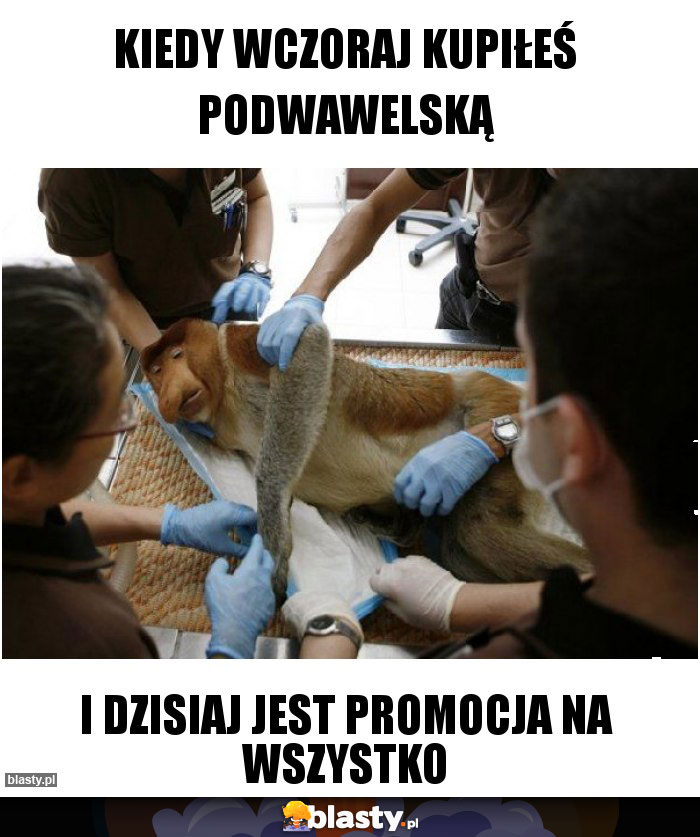 kiedy wczoraj kupiłeś podwawelską