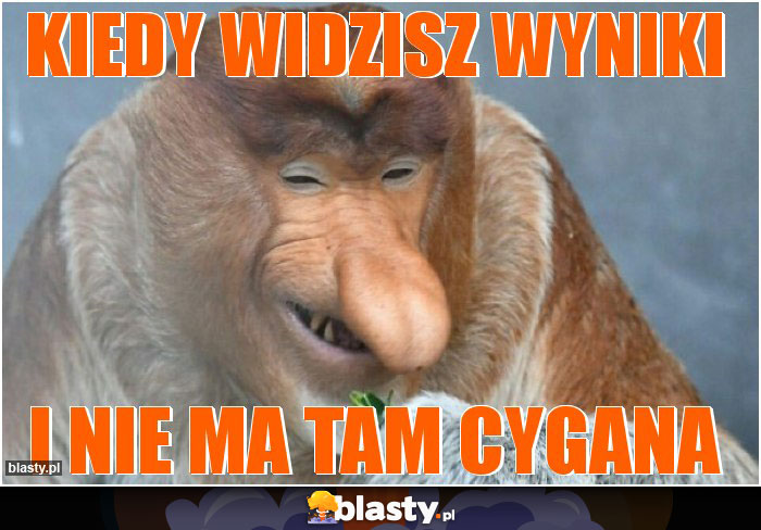 Kiedy widzisz wyniki Kiedy widzisz wyniki