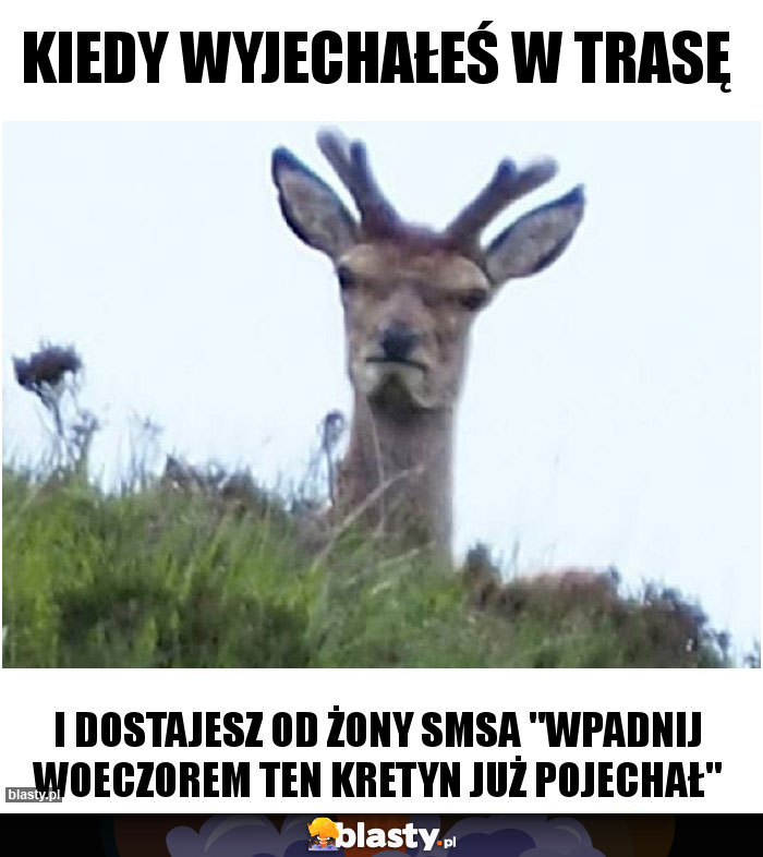 Kiedy wyjechałeś w trasę