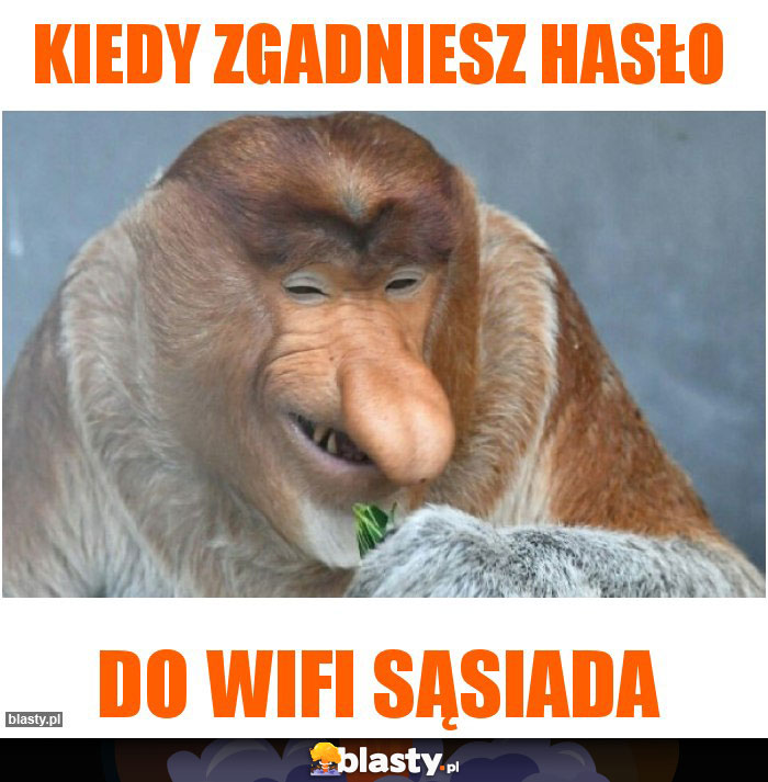 kiedy zgadniesz hasło kiedy zgadniesz hasło