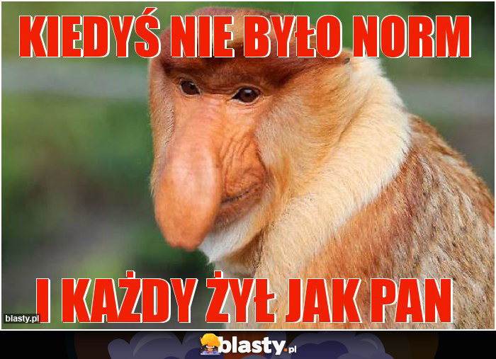 Kiedyś nie było norm Kiedyś nie było norm