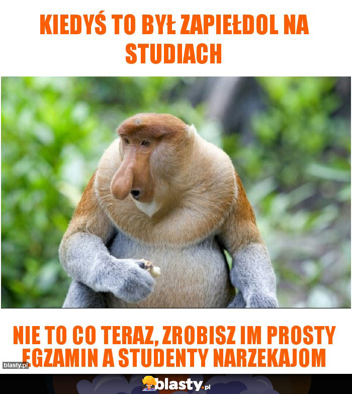 Kiedyś to był zapiełdol na studiach Kiedyś to był zapiełdol na studiach