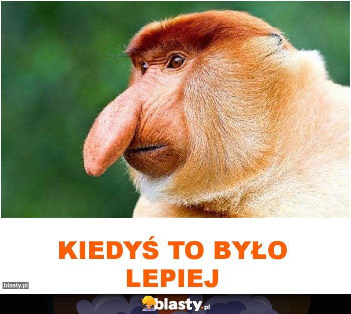 Kiedyś to było lepiej