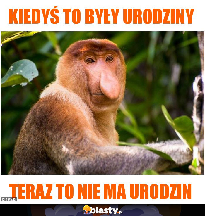 Kiedyś to były urodziny