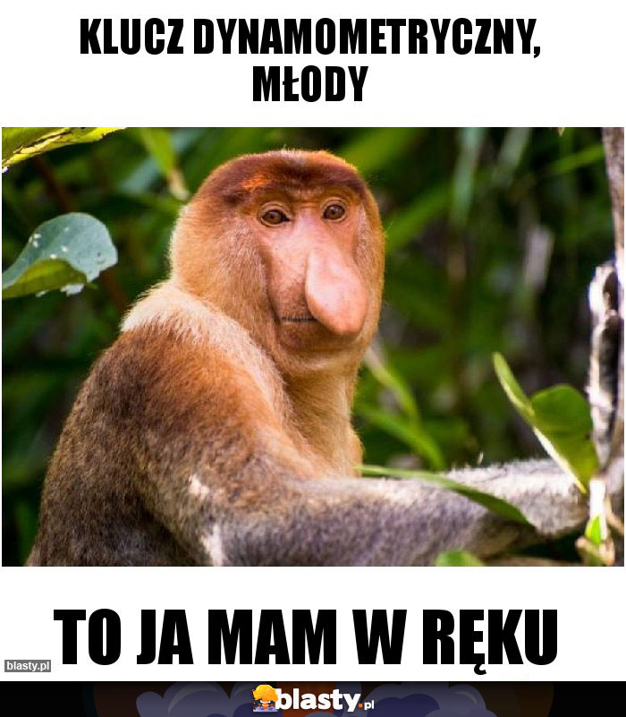 klucz dynamometryczny, młody klucz dynamometryczny, młody