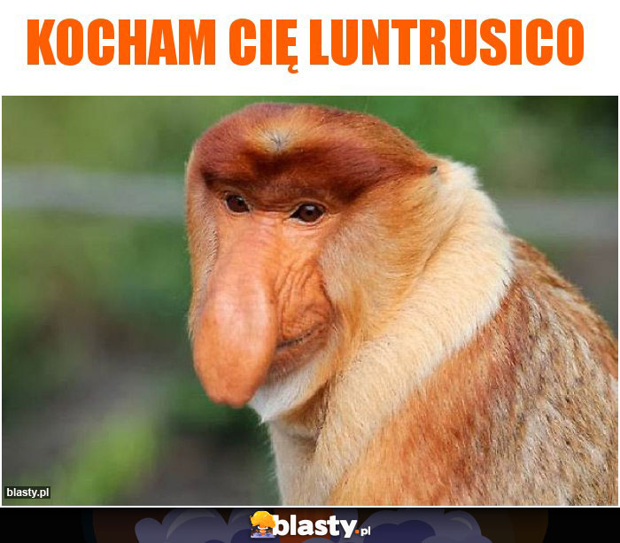 Kocham Cię luntrusico