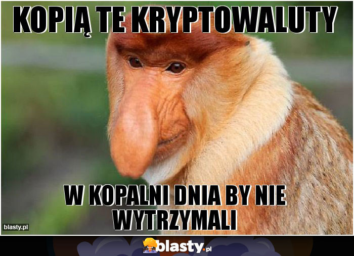 kopią te kryptowaluty kopią te kryptowaluty
