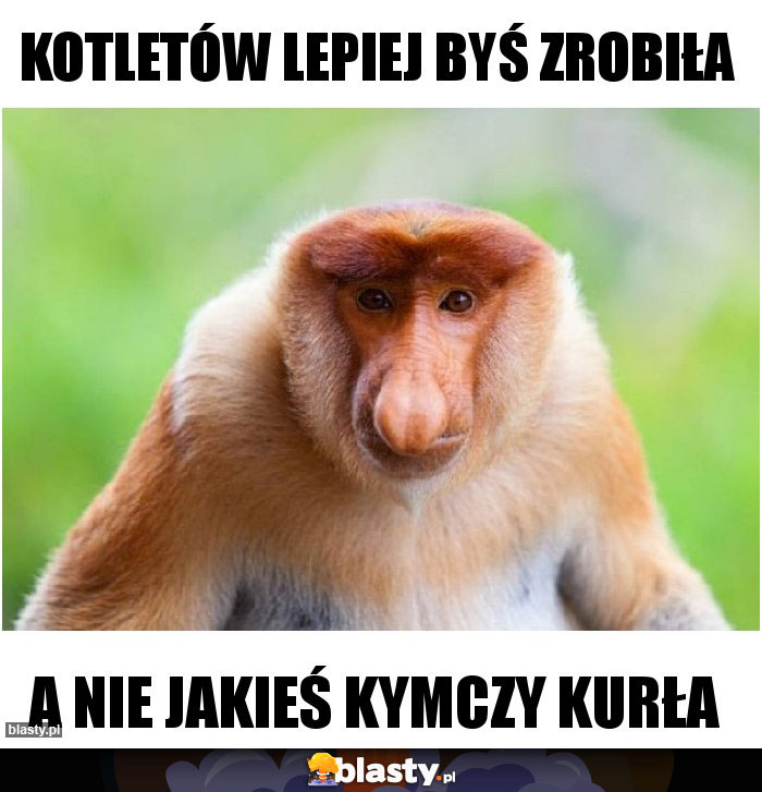 Kotletów lepiej byś zrobiła