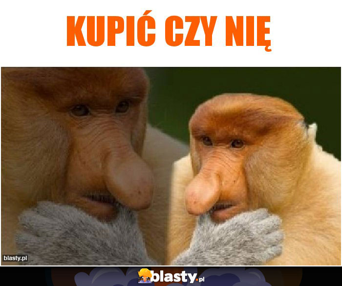 Kupić czy nię Kupić czy nię