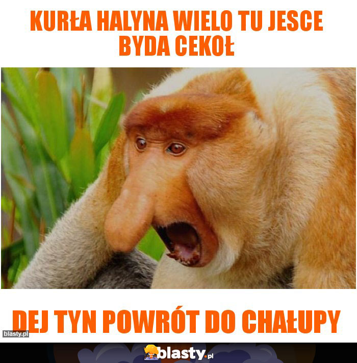 Kurła Halyna wielo tu jesce byda cekoł