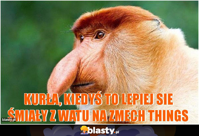Kurła, kiedyś to lepiej sie śmiały z watu na zmech things Kurła, kiedyś to lepiej sie śmiały z watu na zmech things