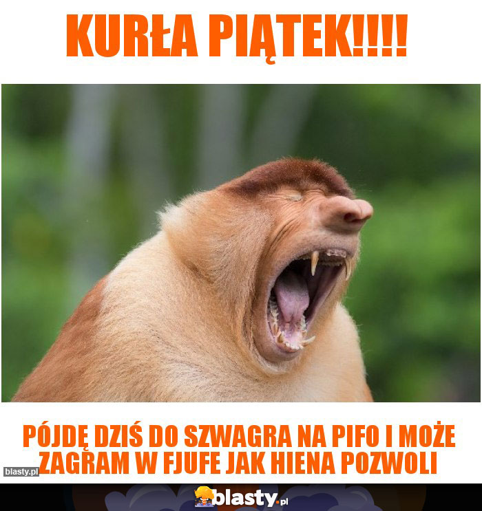 Kurła piątek!!!! Kurła piątek!!!!