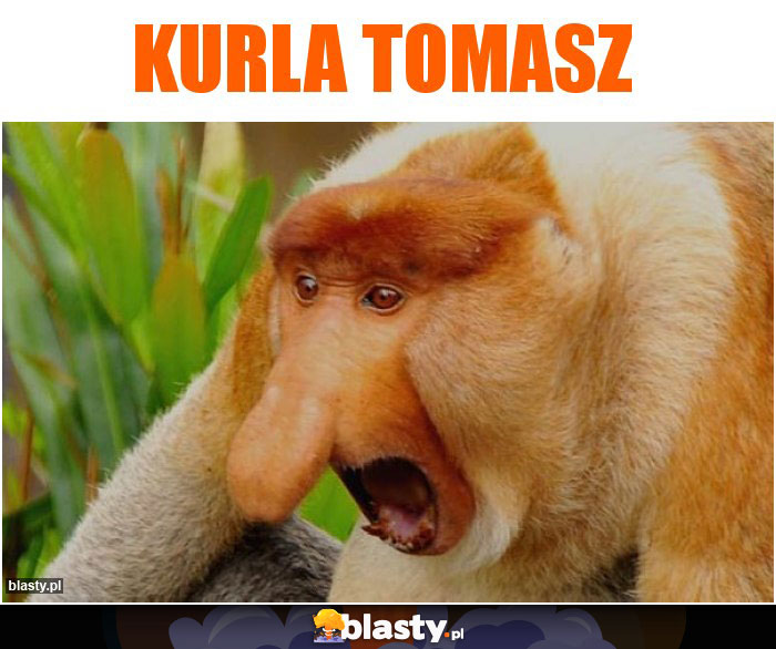 Kurla Tomasz