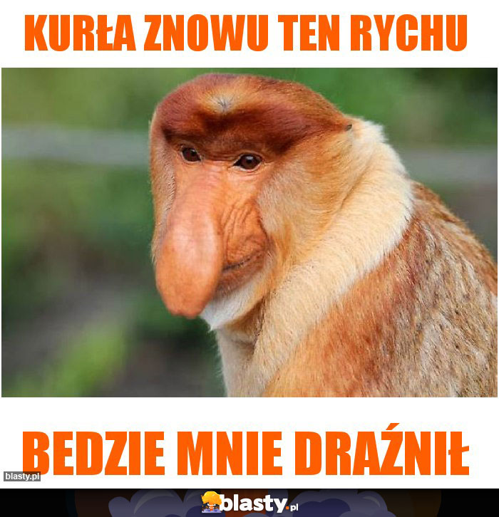 Kurła znowu ten Rychu