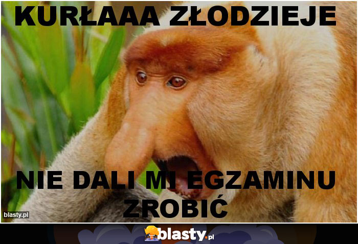 KURŁAAA ZŁODZIEJE KURŁAAA ZŁODZIEJE