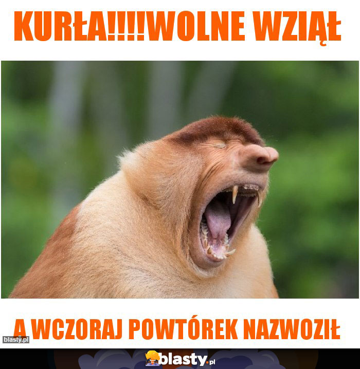kurła!!!!wolne wziął kurła!!!!wolne wziął