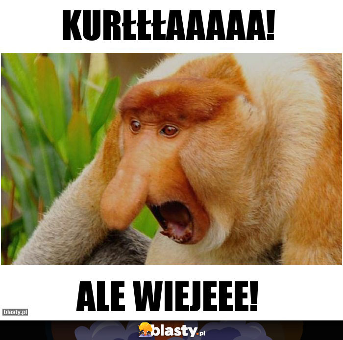 KURŁŁŁAAAAA!
