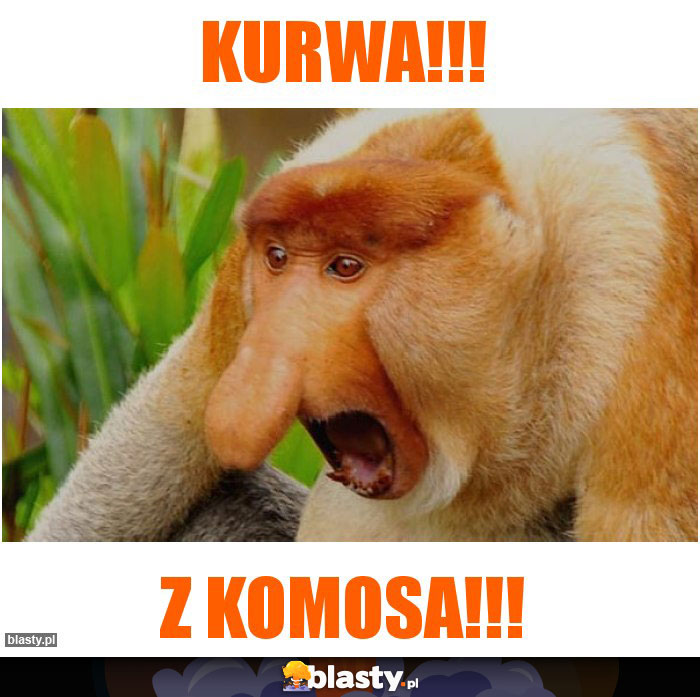 Kurwa!!!