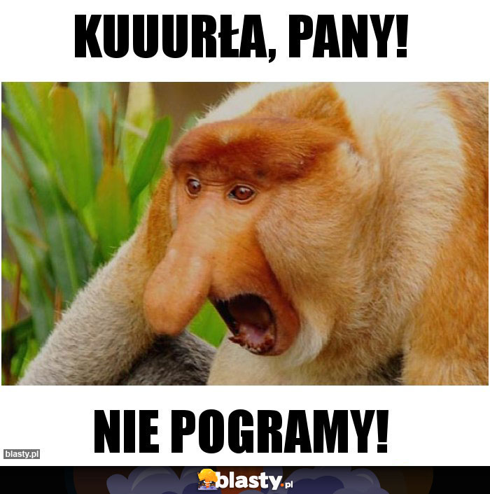 KUUURŁA, PANY!