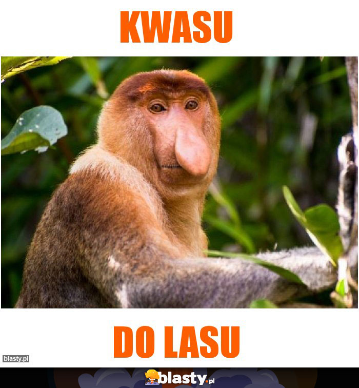 KWASU