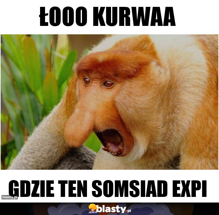 Łooo kurwaa