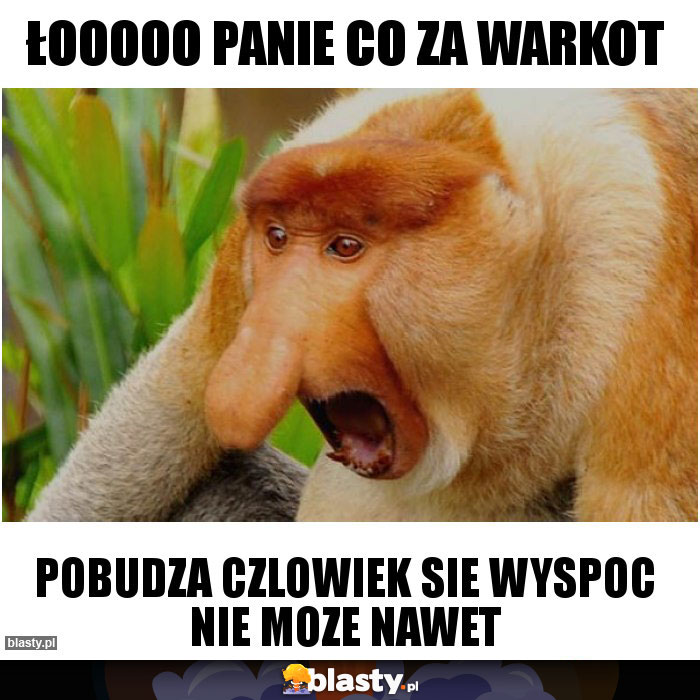 Łooooo panie co za warkot