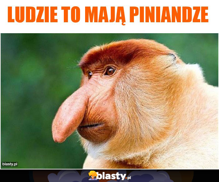 Ludzie to mają piniandze Ludzie to mają piniandze