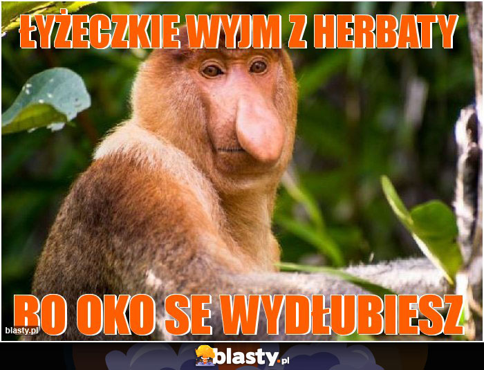 ŁYŻECZKIE WYJM Z HERBATY