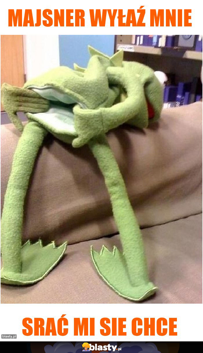 Majsner wyłaź mnie