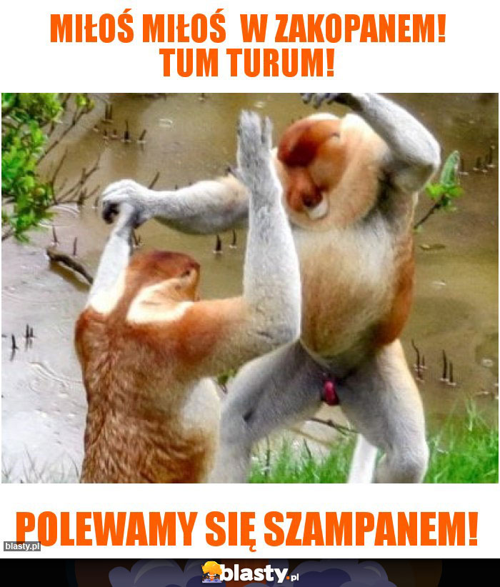 Miłoś Miłoś W Zakopanem! Tum turum! Miłoś Miłoś W Zakopanem! Tum turum!