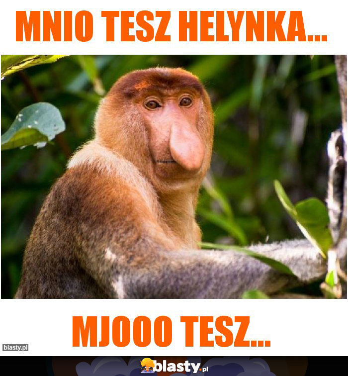 Mnio tesz Helynka... Mnio tesz Helynka...