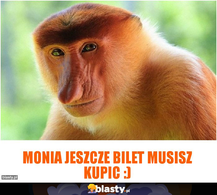 MONIA JESZCZE BILET MUSISZ KUPIC :)