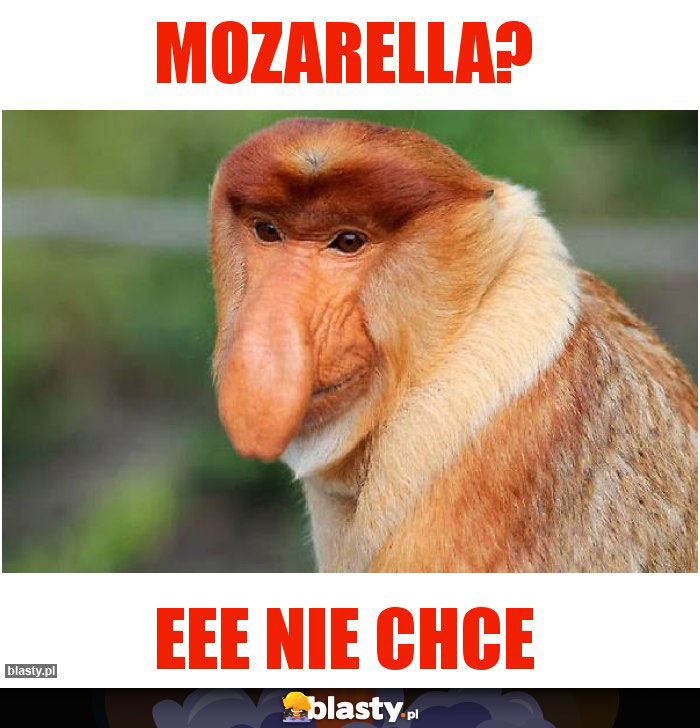 MOZARELLA?