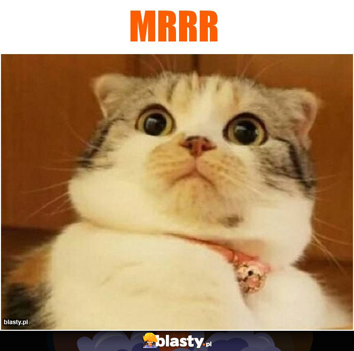 Mrrr