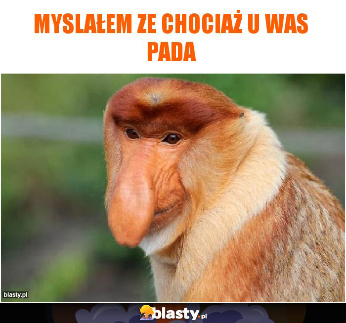 myslałem ze chociaż u was pada