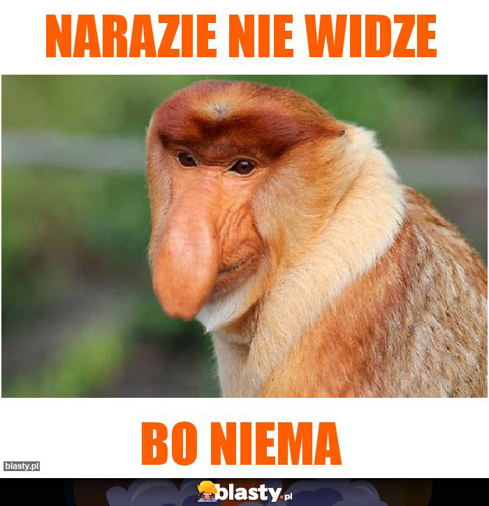 Narazie nie widze