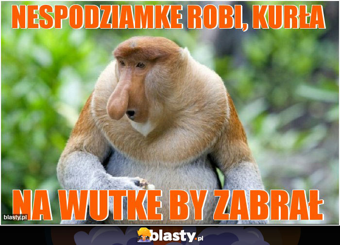 NESPODZIAMKE ROBI, KURŁA