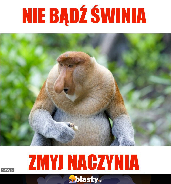 NIE BĄDŹ ŚWINIA