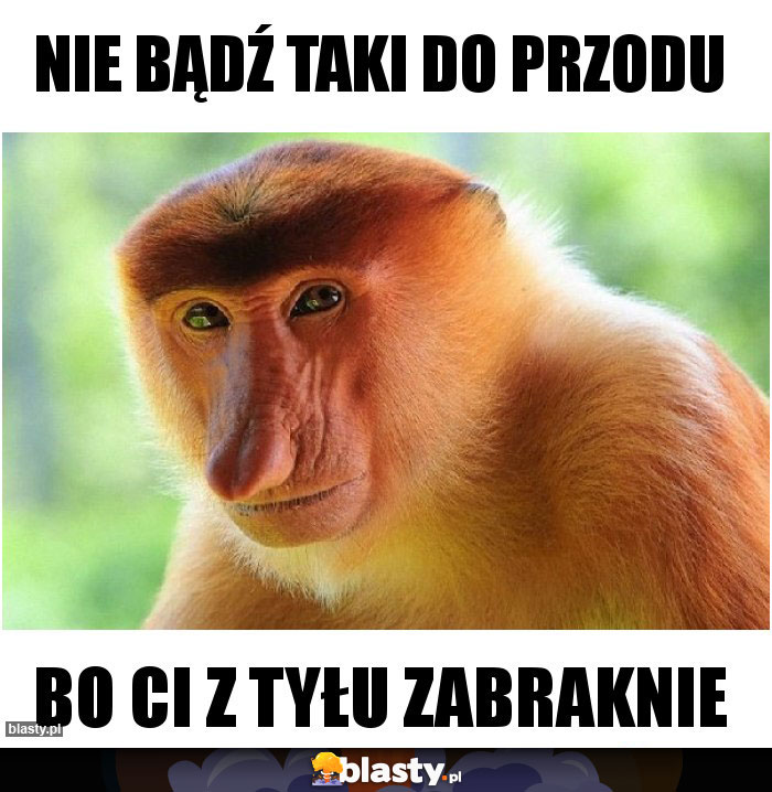 nie bądź taki do przodu