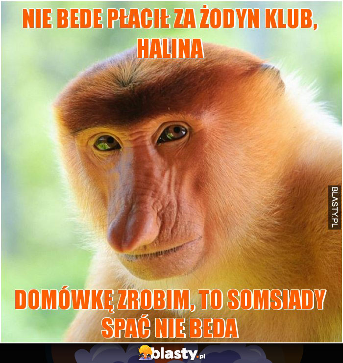 Nie bede płacił za żodyn klub, halina