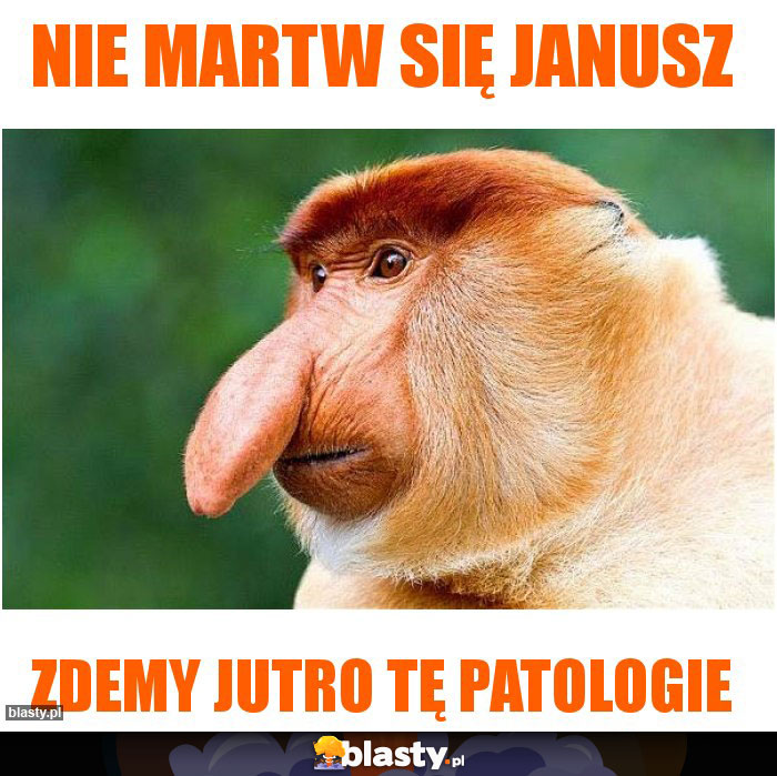 Nie martw się Janusz Nie martw się Janusz