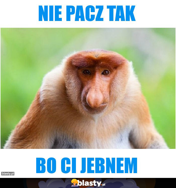 Nie pacz tak Nie pacz tak