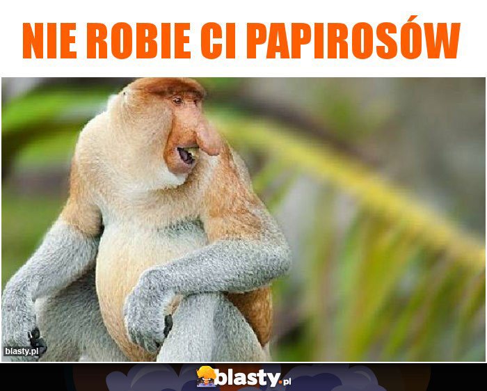 Nie robie ci papirosów