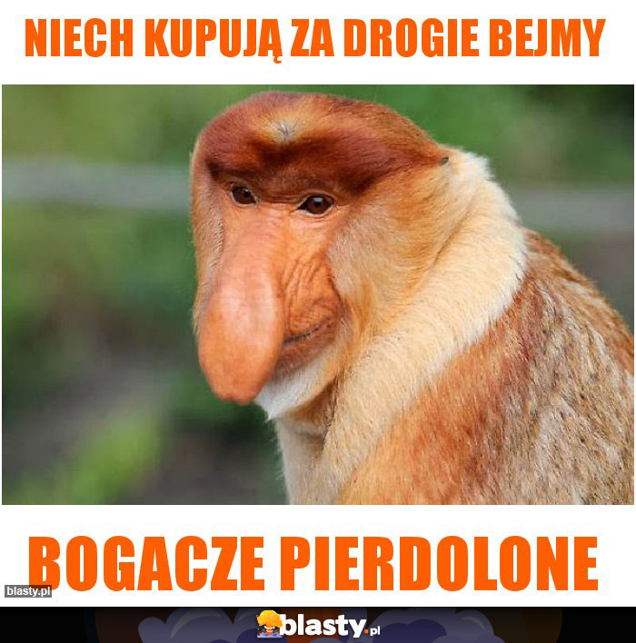 Niech kupują za drogie bejmy