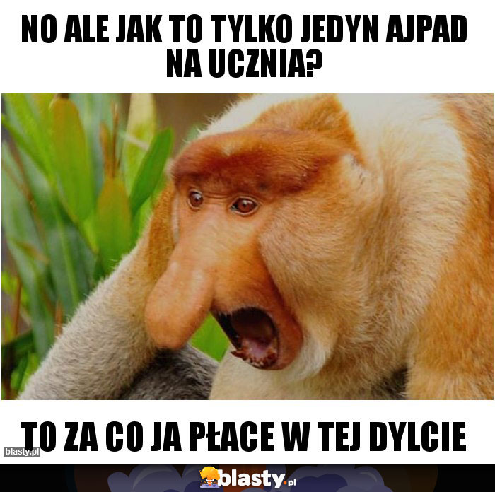 No ale jak to tylko jedyn ajpad na ucznia? No ale jak to tylko jedyn ajpad na ucznia?