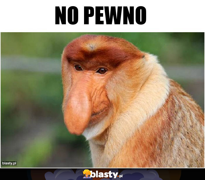 NO PEWNO