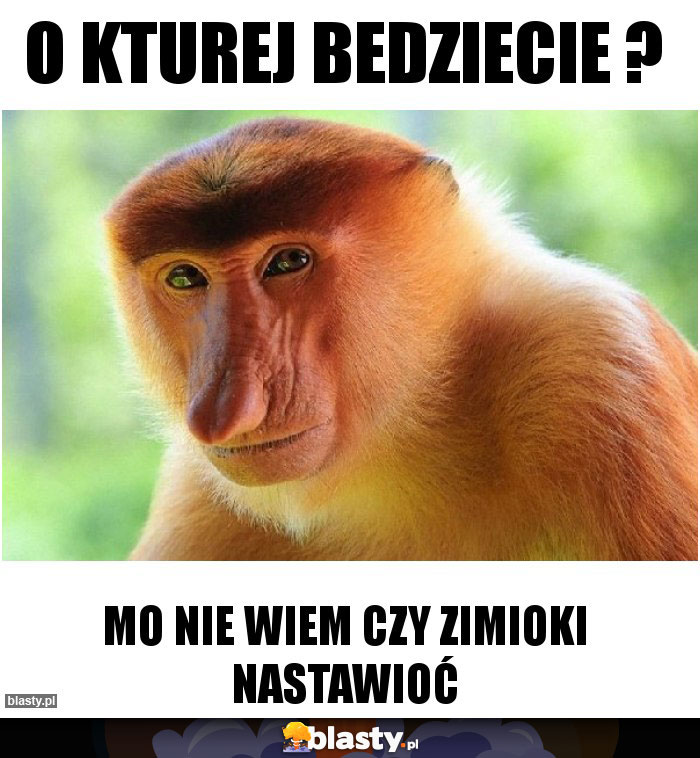 o kturej bedziecie ?