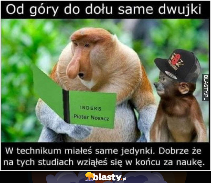 Od góry do same dwujki