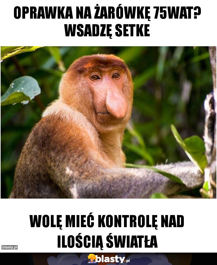 Oprawka na żarówkę 75wat? Wsadzę setke